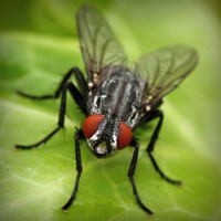 /album/agilitycastellon-es/photolia-a01-jpg/