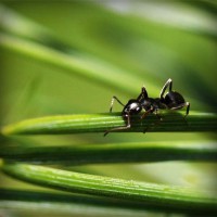 /album/agilitycastellon-es/photolia-a05-jpg/