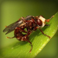 /album/agilitycastellon-es/photolia-a06-jpg/